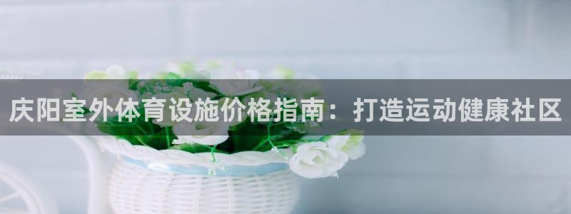 意昂3娱乐首页官网下载：庆阳室外体育设施价格指南：打