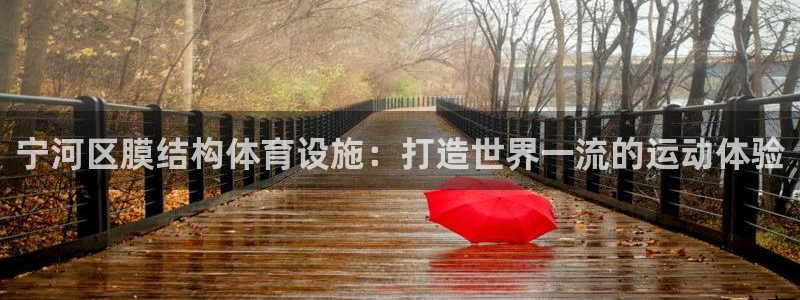 意昂体育3招商电话是多少：宁河区膜结构体育设施：打造
