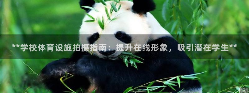 意昂体育3招商电话地址：**学校体育设施拍摄指南：提