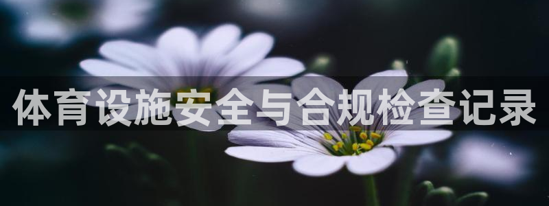 意昂体育3平台注册流程图：体育设施安全与合规检查记录