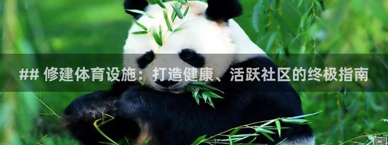 意昂体育3平台是正规平台吗知乎：## 修建体育设施：