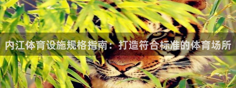 海南意昂体育3：内江体育设施规格指南：打造符合标准的