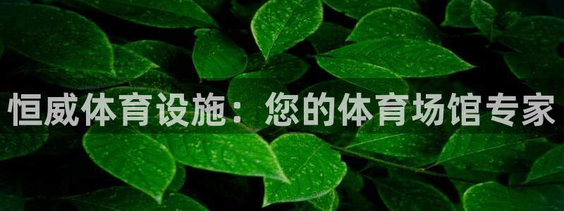 意昂3娱乐平台：恒威体育设施：您的体育场馆专家