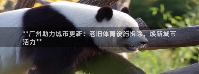 意昂体育3招商电话号码查询：**广州助力城市更新：老