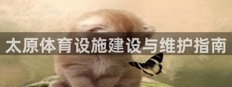 意昂3新能源：太原体育设施建设与维护指南