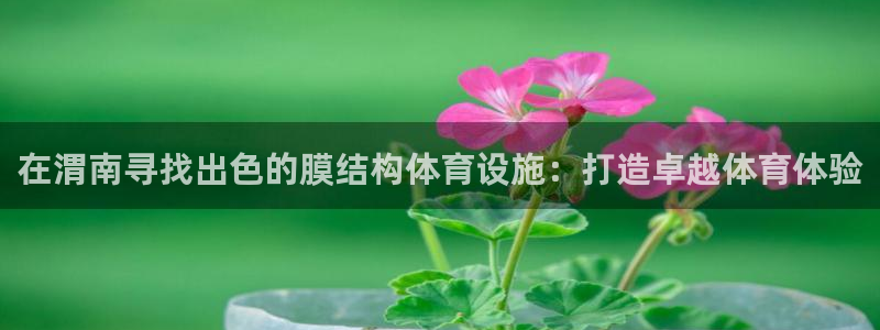 意昂体育3招商电话地址查询：在渭南寻找出色的膜结构体