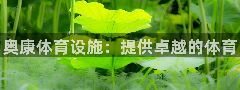 意昂体育3平台注册要钱吗：奥康体育设施：提供卓越的体
