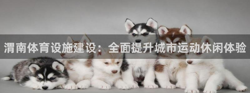 意昂体育3招商电话地址：渭南体育设施建设：全面提升城