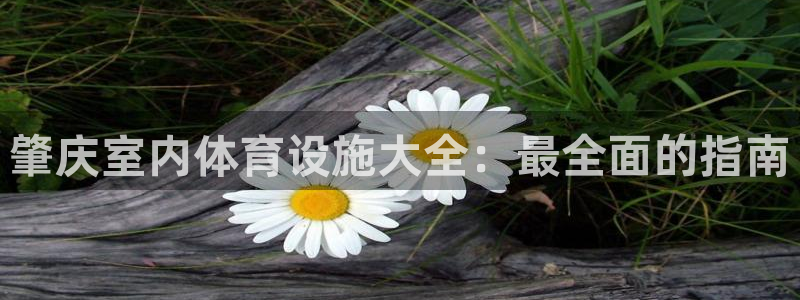 意昂体育3软件：肇庆室内体育设施大全：最全面的指南