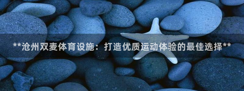 德国意昂3集团：**沧州双麦体育设施：打造优质运动体