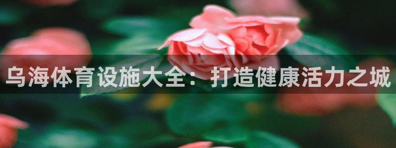 意昂3娱乐40996：乌海体育设施大全：打造健康活力