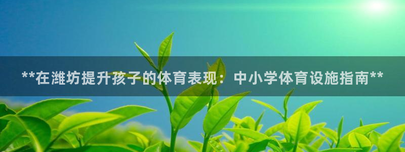 意昂3新能源：**在潍坊提升孩子的体育表现：中小学体
