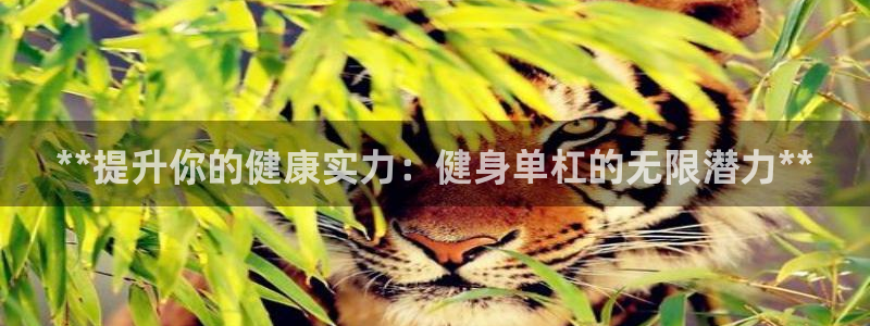 意昂3官网：**提升你的健康实力：健身单杠的无限潜力