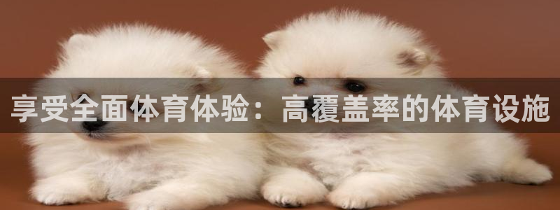 意昂3新能源：享受全面体育体验：高覆盖率的体育设施
