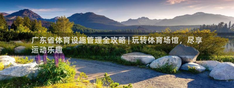 意昂体育3平台注册流程图：广东省体育设施管理全攻略 