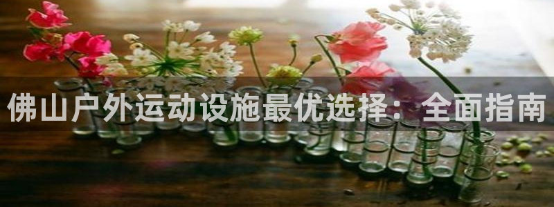 意昂体育3注册：佛山户外运动设施最优选择：全面指南