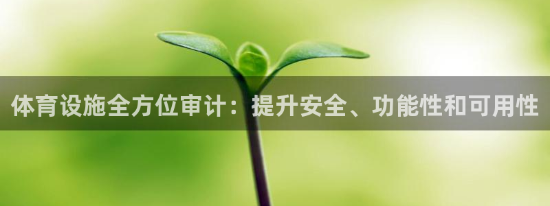 意昂3代理：体育设施全方位审计：提升安全、功能性和可
