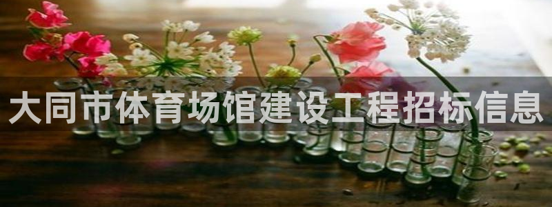 意昂3开户：大同市体育场馆建设工程招标信息