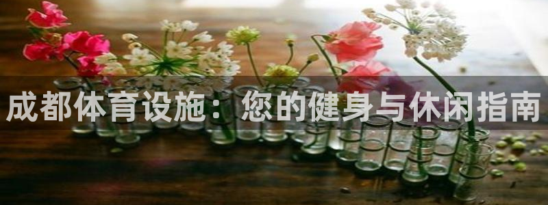 海南意昂体育3：成都体育设施：您的健身与休闲指南