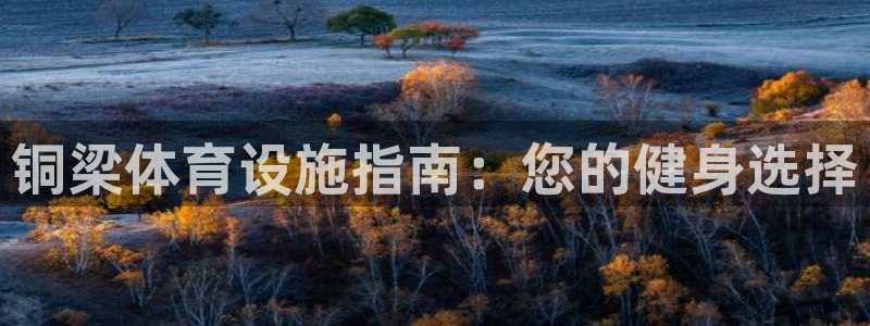 意昂体育3：铜梁体育设施指南：您的健身选择