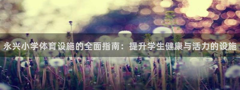 意昂体育3平台注册：永兴小学体育设施的全面指南：提升