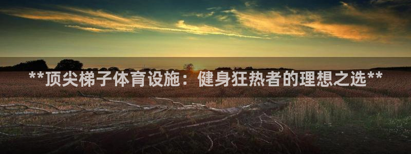 意昂体育3：**顶尖梯子体育设施：健身狂热者的理想之