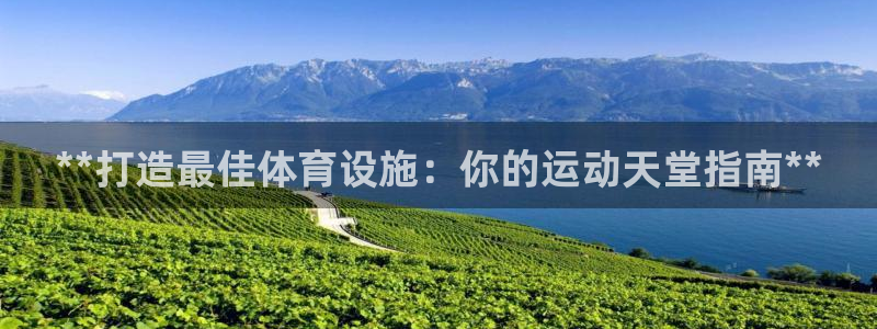 意昂体育3注册：**打造最佳体育设施：你的运动天堂指