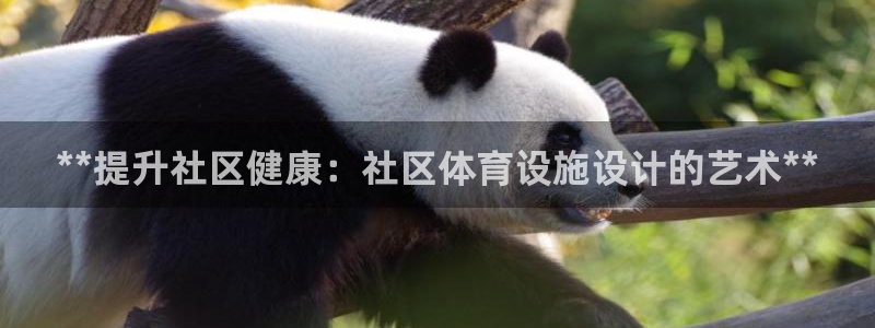 意昂体育3开户：**提升社区健康：社区体育设施设计的