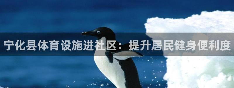 意昂3集团E.ON：宁化县体育设施进社区：提升居民健