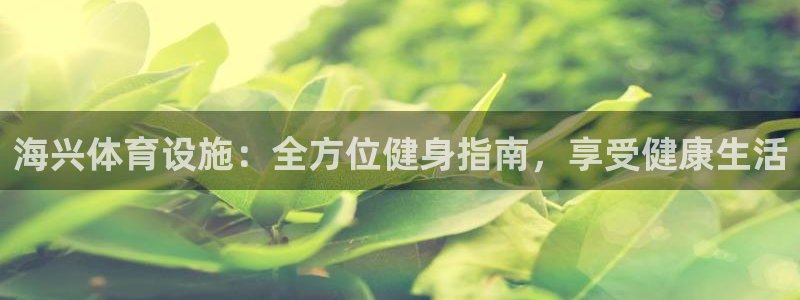 意昂体育3平台注册要钱吗安全吗：海兴体育设施：全方位健身指南