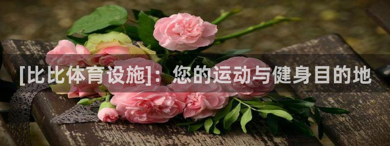 意昂体育3平台注册：[比比体育设施]：您的运动与健身目的地