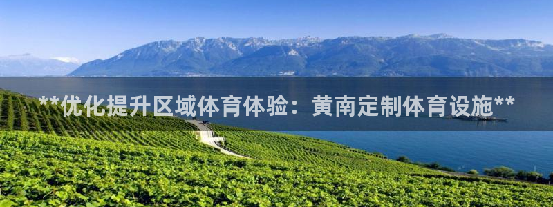 注册意昂3：**优化提升区域体育体验：黄南定制体育设施**