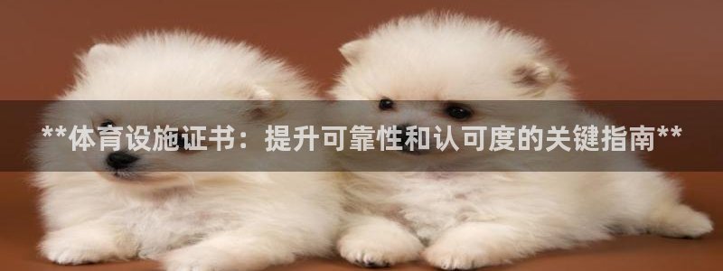 意昂3集团E.ON
