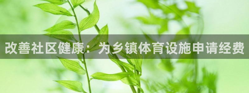 意昂3科技：改善社区健康：为乡镇体育设施申请经费