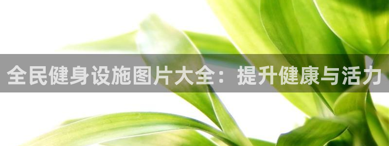 意昂体育3招商电话号码是多少号：全民健身设施图片大全