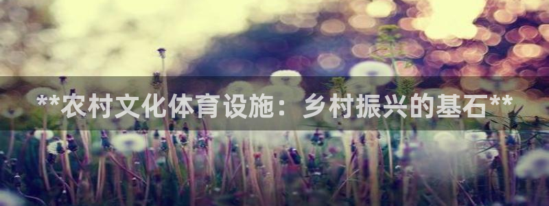 意昂3新能源：**农村文化体育设施：乡村振兴的基石*