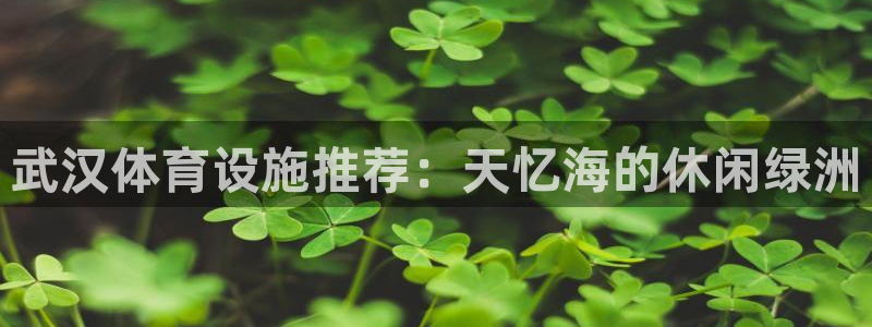 意昂3官网：武汉体育设施推荐：天忆海的休闲绿洲