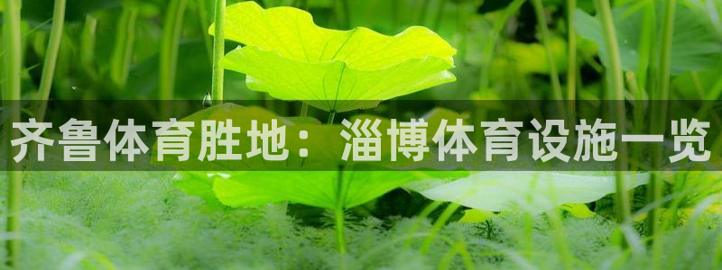 意昂体育3招商电话号码查询是多少：齐鲁体育胜地：淄博