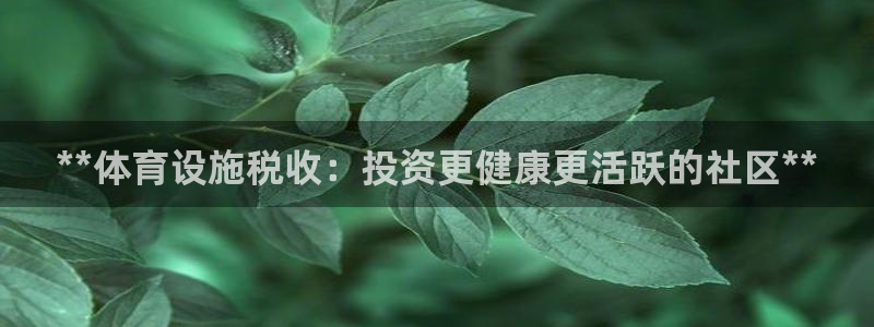 意昂3娱乐平台：**体育设施税收：投资更健康更活跃的