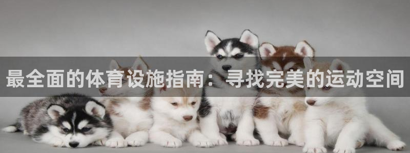 意昂体育3平台：最全面的体育设施指南：寻找完美的运动