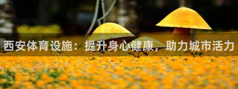 意昂体育3招商电话地址查询：西安体育设施：提升身心健