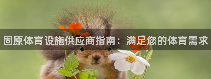 意昂3集团官网首页网址：固原体育设施供应商指南：满足