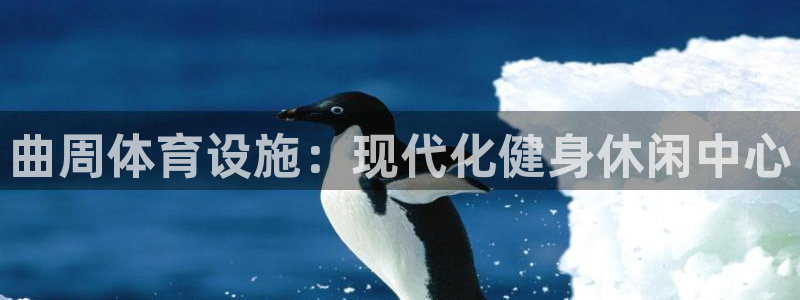 意昂3集团官网首页：曲周体育设施：现代化健身休闲中心