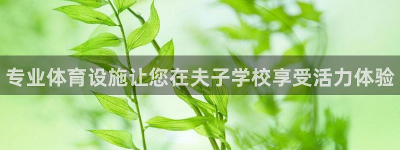 意昂3新能源：专业体育设施让您在夫子学校享受活力体验