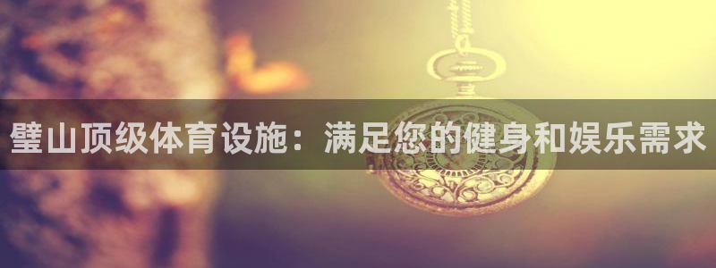 意昂体育3是干嘛的公司：璧山顶级体育设施：满足您的健