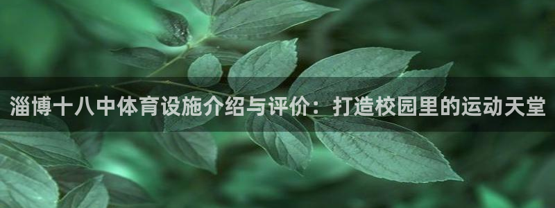 意昂体育3平台注册要钱吗是真的吗：淄博十八中体育设施