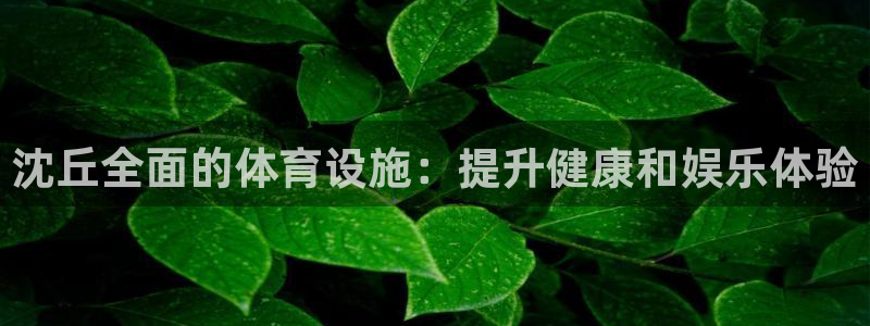 意昂体育3招商电话号码是多少：沈丘全面的体育设施：提