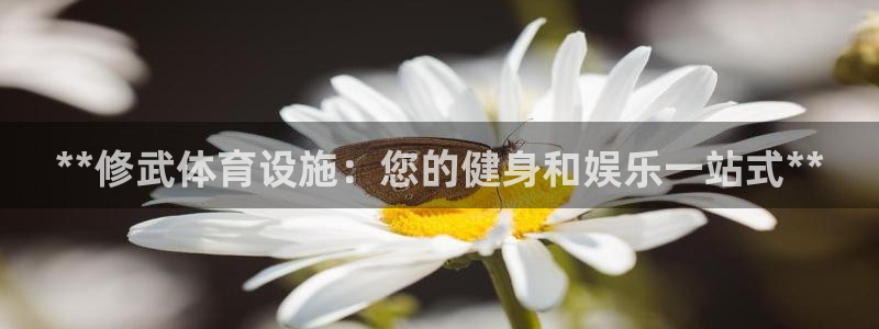 意昂体育3软件：**修武体育设施：您的健身和娱乐一站