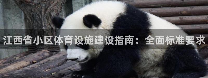 意昂3科技：江西省小区体育设施建设指南：全面标准要求