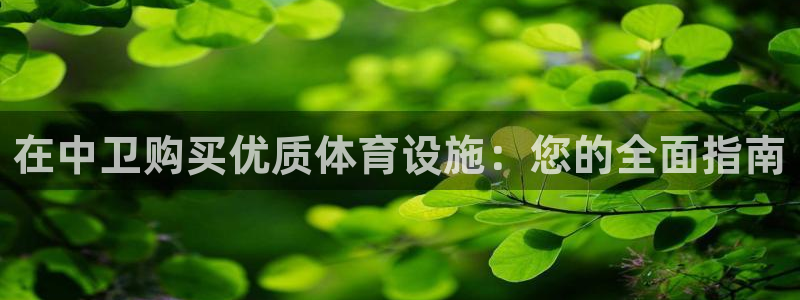 意昂体育3是干嘛的公司：在中卫购买优质体育设施：您的
